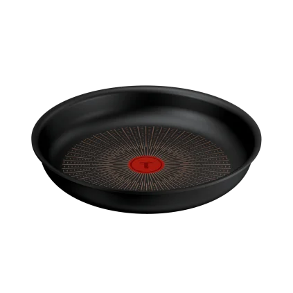 231067 panev ingenio excellence fusion 26 cm titan tefal