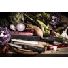 Cuțit pentru legume japonez BRUTE 17,5 cm, Forged