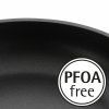 Tigaie MINI COOKWARE 18 cm, WMF