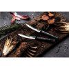 Cuțit pentru friptură BRUTE, set de 4 buc, Forged