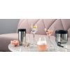 Pahare pentru martini Eva Trio