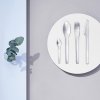 Furculiță de masă EM 21 cm, argintiu, oțel inoxidabil, Stelton