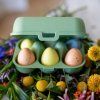 Recipient depozitare ouă EGGS TO GO MINI 17 cm, pentru 6 ouă, verde cu frunze, Koziol
