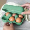 Recipient depozitare ouă EGGS TO GO MINI 17 cm, pentru 6 ouă, verde cu frunze, Koziol