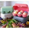 Recipient depozitare ouă EGGS TO GO MINI 17 cm, pentru 6 ouă, verde cu frunze, Koziol