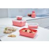 Borcan de depozitare pentru bucătărie MASTER SEAL COLOUR EDITION N1030910 , set de 4 buc, roșu coral, plastic, Tefal