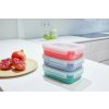 Borcan de depozitare pentru bucătărie MASTER SEAL COLOUR EDITION N1030910 , set de 4 buc, roșu coral, plastic, Tefal