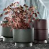 Ghiveci pentru flori RECYCLED, 15 cm, verde închis, Rosendahl