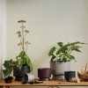 Ghiveci pentru flori RECYCLED, 15 cm, verde închis, Rosendahl