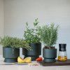 Ghiveci pentru flori RECYCLED, 15 cm, verde închis, Rosendahl