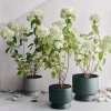 Ghiveci pentru flori RECYCLED, 15 cm, verde închis, Rosendahl