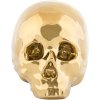 Decorațiuni pentru casă MEMORABILIA MY SKULL, 25 cm, aur, porțelan, Seletti