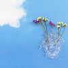 Vază LOVE IN BLOOM 25 cm, sticlă, Seletti