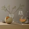 Pahar pentru vin alb PERFECTION, set de 6 buc, 320 ml, Holmegaard