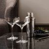 Pahar pentru cocktail PERFECTION, set de 6 buc, 380 ml, transparent, Holmegaard
