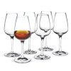 Sticlă de lac BOUQUET, set de 6 buc, 120 ml, transparent, Holmegaard