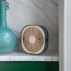 Ventilator de masă FANTASTIC, 20 cm, verde, Printworks