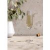 Set de pahare pentru șampanie 6 buc LEGIO NOVA 260 ml, Eva Trio