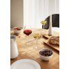 Set de pahare pentru vin roșu 6 buc LEGIO NOVA 450 ml, Eva Trio