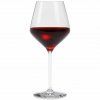Set de pahare pentru vin roșu 6 buc LEGIO NOVA 450 ml, Eva Trio