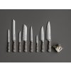 Cuțite de friptură CLASSIC COLOUR , set de 4, 12 cm, catifea, Wüsthof