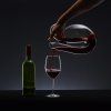 Decantor Ayam clar Riedel