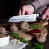 Cuțite de bucătărie PREMIER PLUS EURASIA, set de 3, din oțel inoxidabil, F.DICK