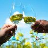 209899 2 rozlisovace na sklenice rainbow sada 9 ks l atelier du vin