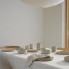 Recipient pentru lappte frișcă EMMA 300 ml, trandafir, gresie, Stelton