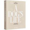 Album foto A DOG´S LIFE, bej, Printworks