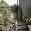 Stropitoare BLOOM 2 l, verde pin, oțel inoxidabil, Stelton