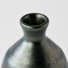 Sticlă de saké DARK LUSTRE, negru, ceramică, MIJ