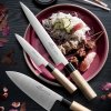 Cuțit japonez YANAGIBA 24 cm, maro, Lion Sabatier