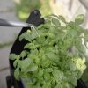 218102 4 stojan na kvetiny simply grow 80 x 73 cm cerna ocel eva solo
