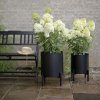 218105 3 stojan na kvetiny simply grow 31 x 42 cm cerna ocel eva solo