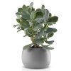 218585 3 kvetinac stone 16 cm seda keramika eva solo