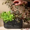 220697 2 kvetinac s podmiskou pot it 22 cm cerna plast rig tig