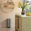 226038 2 pedalovy odpadkovy kos bo 30 l platinova ocel brabantia